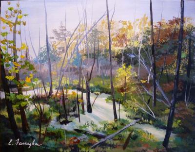 KP Trail Marshland 1